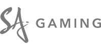 Visa partner logo